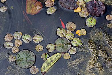 全新官方《异形》新游戏公布 使用虚幻5制作